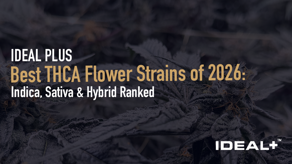 Discover the best THCA flower strains of 2026 — indica, sativa & hybrid ranked by potency and effects. Find your perfect strain with our complete buyer's guide.