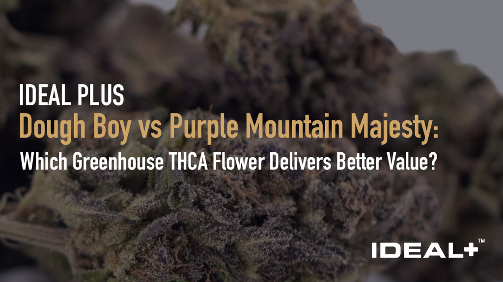  Dough Boy vs Purple Mountain Majesty