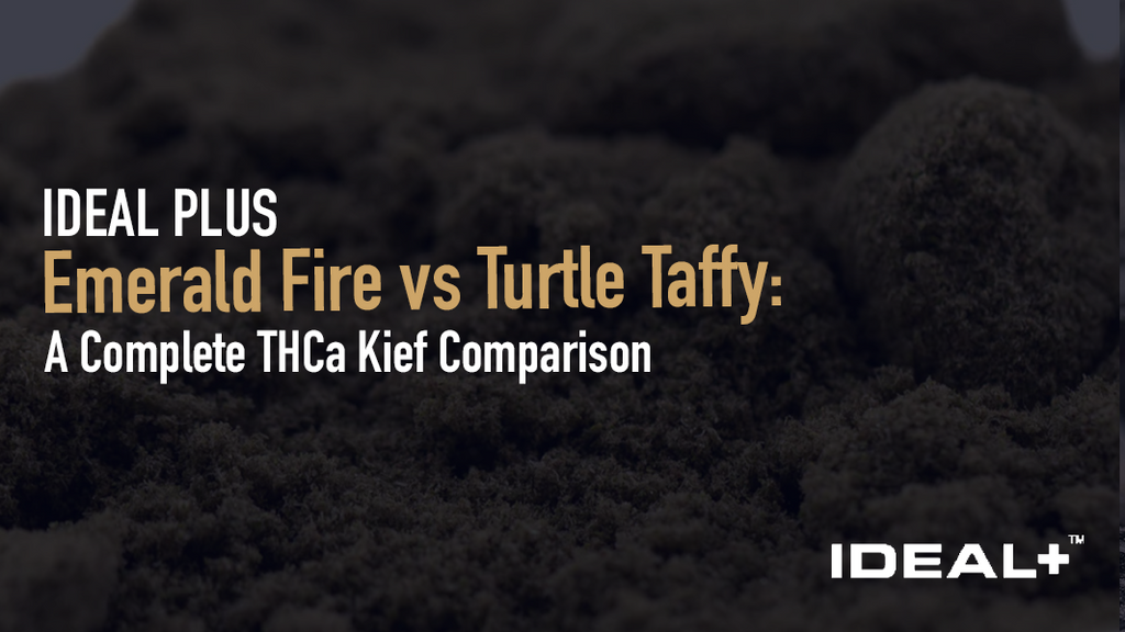 Emerald Fire vs. Turtle Taffy THCa kief — compare terpenes, effects, flavor, and potency to find your perfect strain. Shop premium full-term THCa kief now.