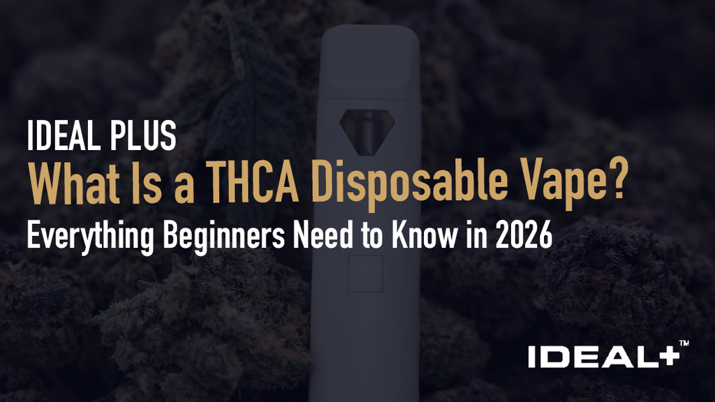 This beginner's guide breaks down exactly what they are, how they work, what effects to expect, and why they've become one of the most popular hemp products.