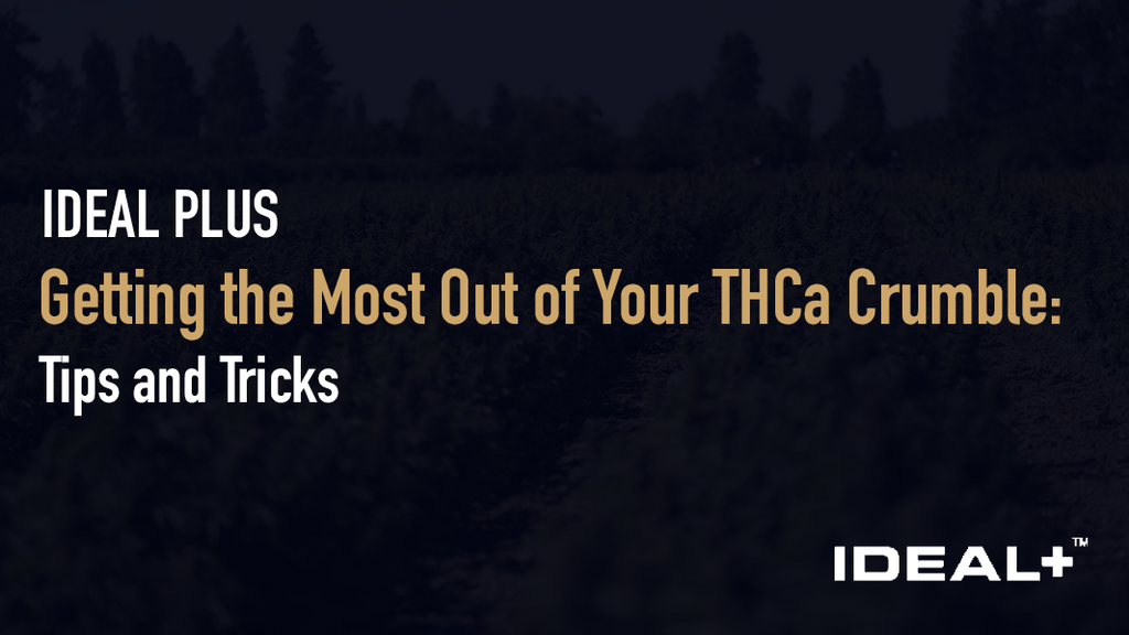 Getting the Most Out of Your THCa Crumble: Tips and Tricks