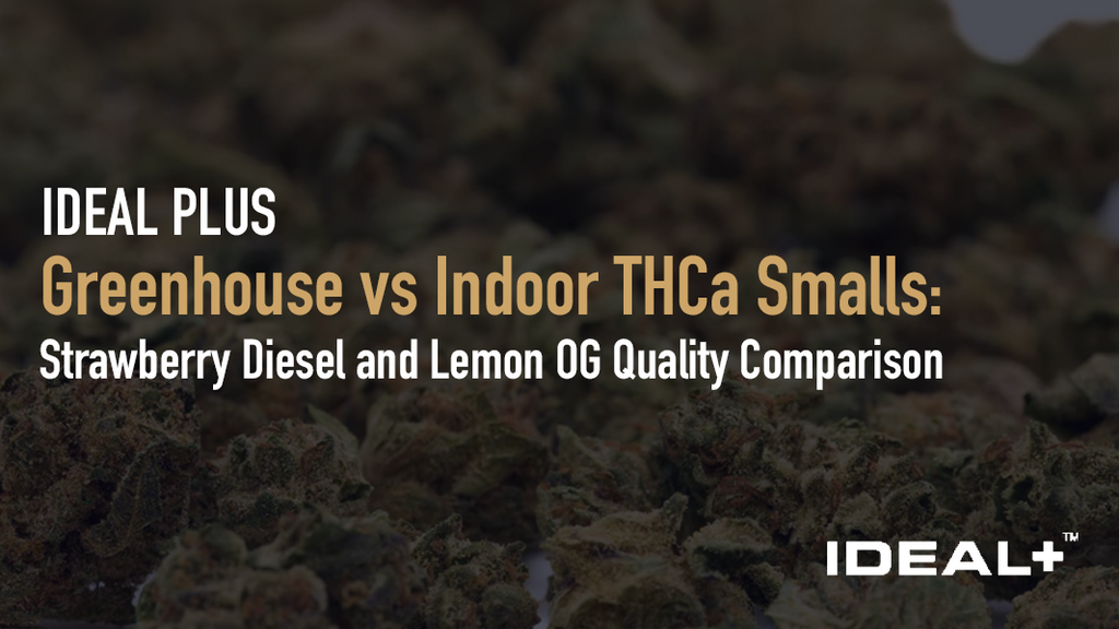 Greenhouse vs Indoor THCa Smalls