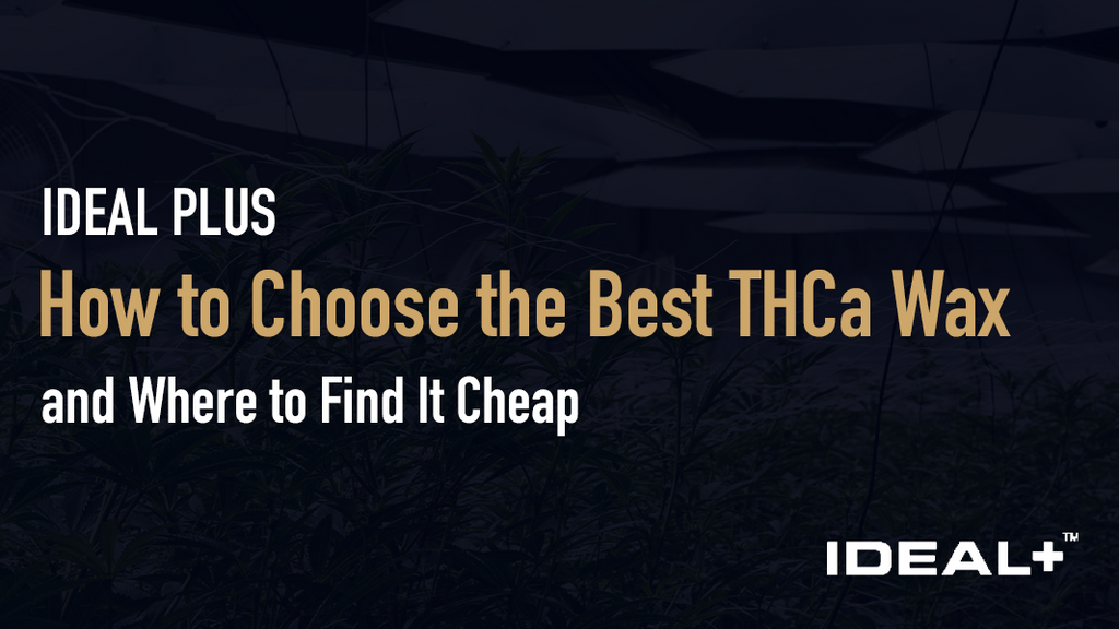 How to Choose the Best THCa Wax (and Where to Find It Cheap)