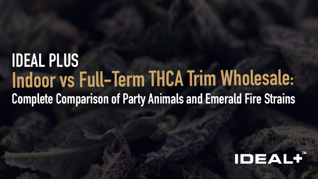 Indoor vs Full-Term THCA Trim Wholesale