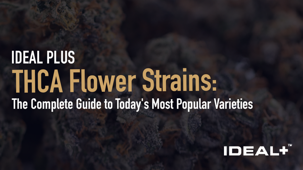 Explore today's most popular THCA flower strains in this complete guide. Learn about indica, sativa, and hybrid varieties, how to evaluate quality.