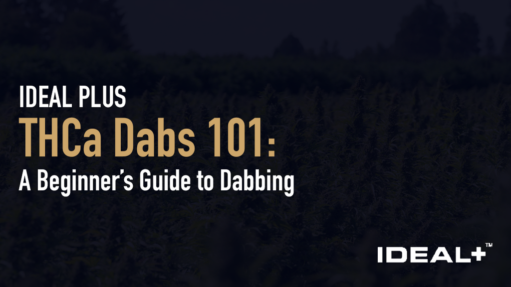 THCa Dabs 101: A Beginner’s Guide to Dabbing