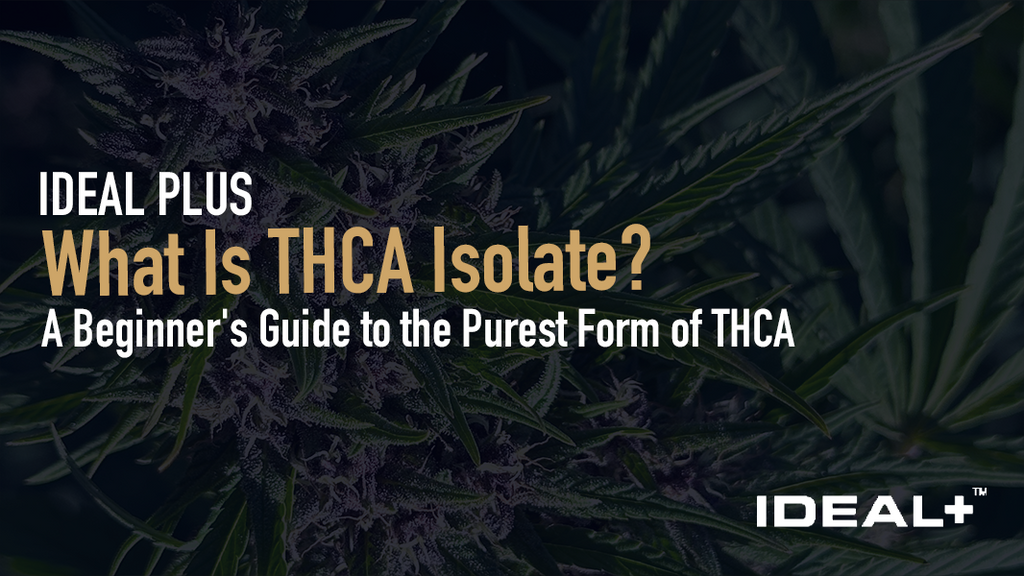 Learn how this 99% pure crystalline hemp concentrate works, how it differs from flower and full-spectrum, and how to buy THCA isolate with confidence.