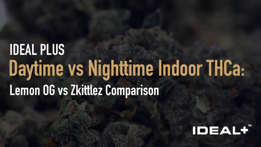 Indoor THCa