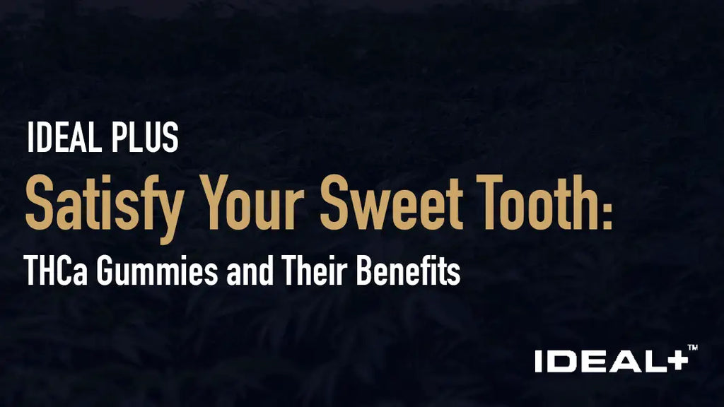 Satisfy Your Sweet Tooth: THCa Gummies and Their Benefits