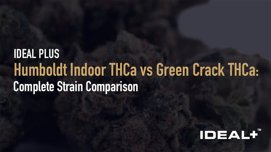 Humboldt Indoor THCa vs Green Crack THCa