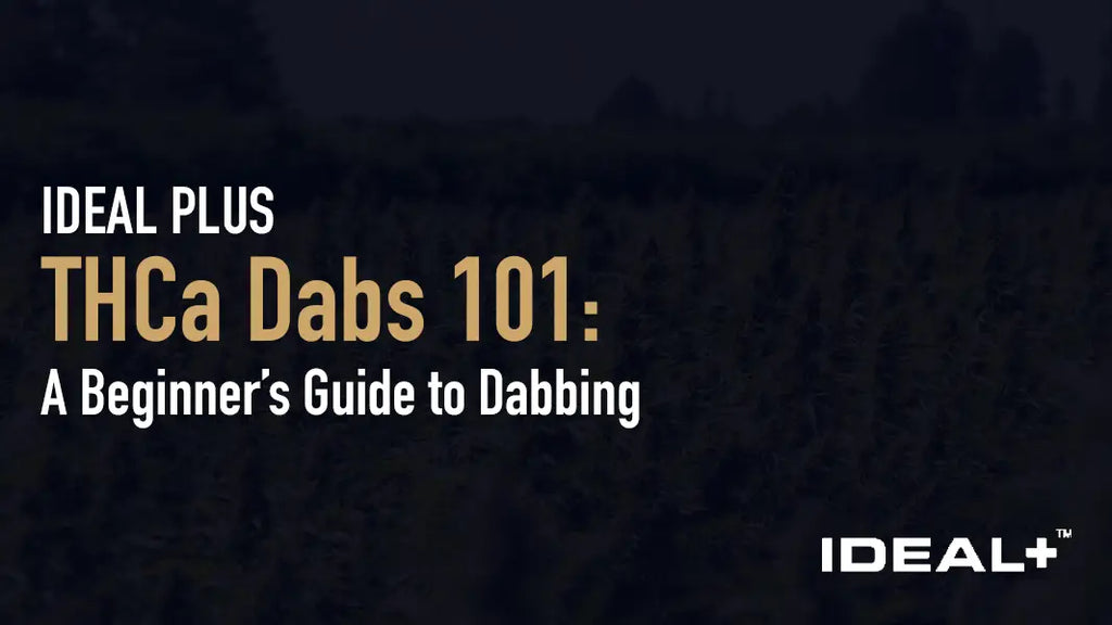 THCa Dabs 101: A Beginner’s Guide to Dabbing