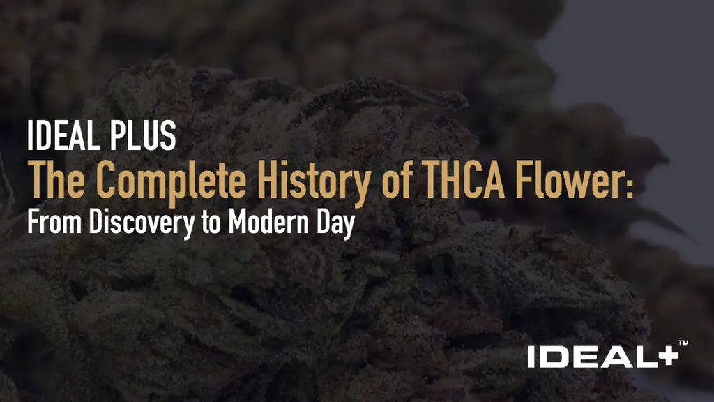 The Complete History of THCA Flower