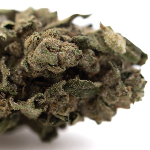 Canal Street Runtz THCa Hemp Flower Greenhouse Wholesale