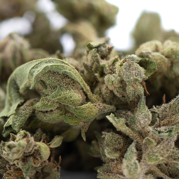 Glue CBD Hemp Flower Full-Term Smalls