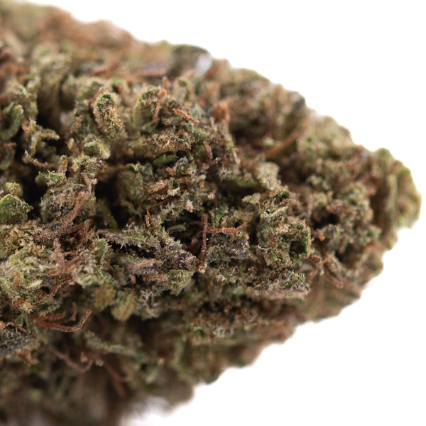 Royal OG CBD Full-Term Hemp Flower