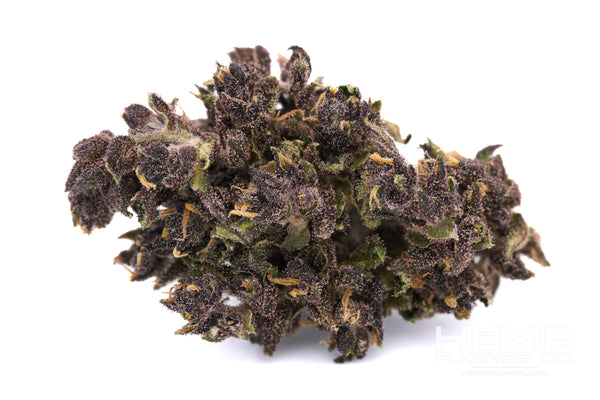 Purple cannabis bud with trichomes and orange pistils from After Dark Indoor THCa Flower Wholesale