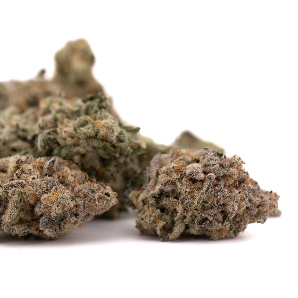 Blue Cookies THCa Indoor Flower with lush cannabis buds and frosty trichomes