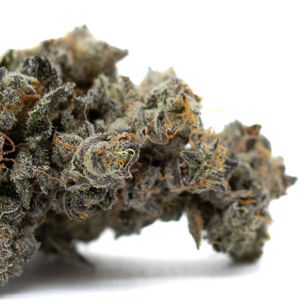 Dense Butter OG Indoor THCa Flower with glistening trichomes and vibrant green buds