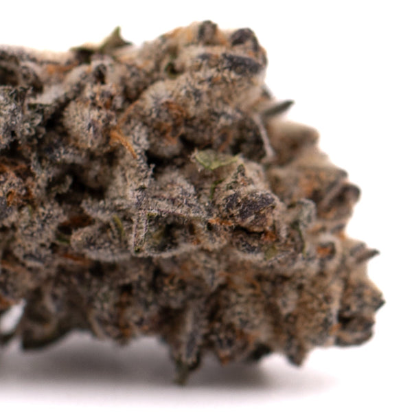 Dense cannabis bud of Cherry Pie THCa Indoor Flower showcasing premium thca indoor flower quality