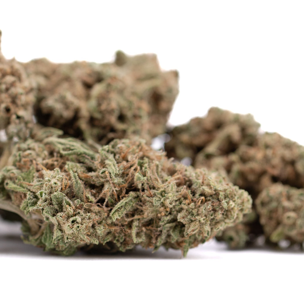 Premium Durban Poison THCa flower bud with dense trichomes