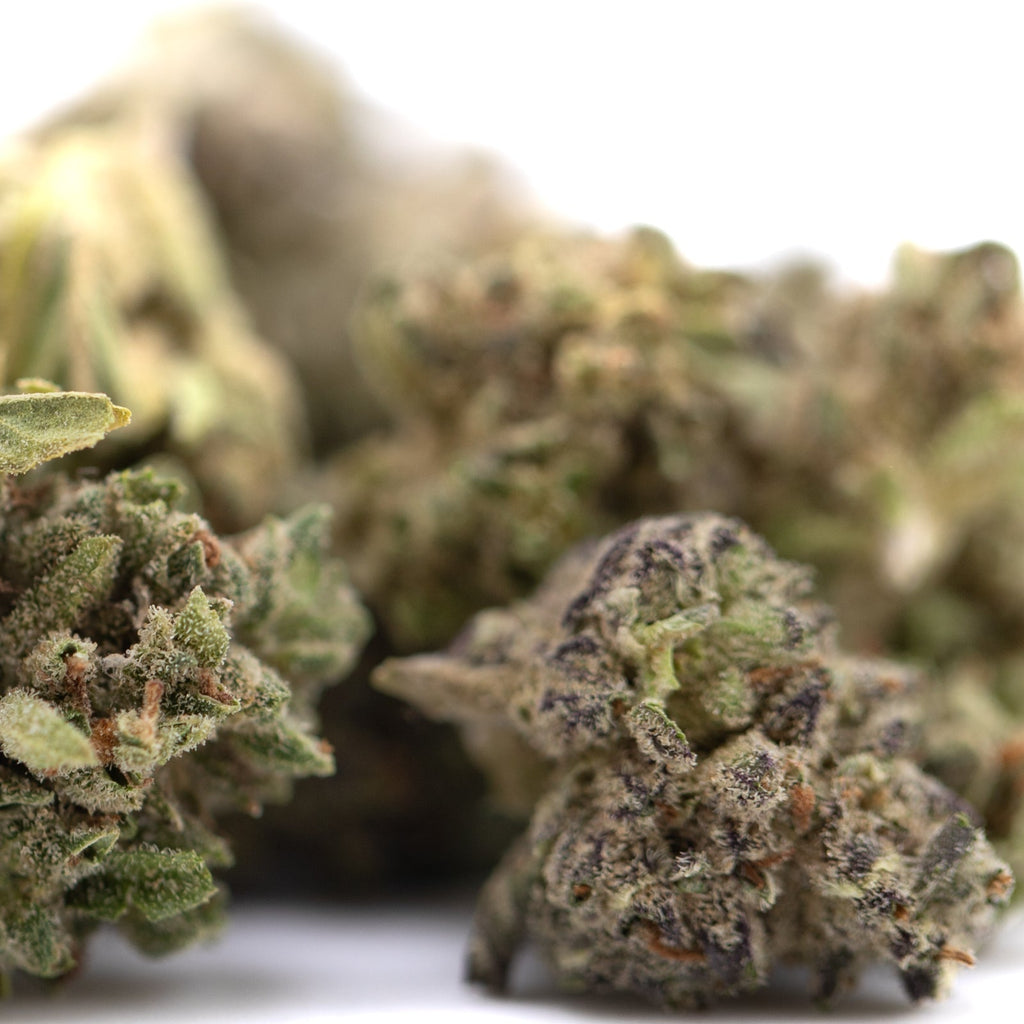 Premium Fog Dog THCa Flower Smalls: green bud with white trichomes