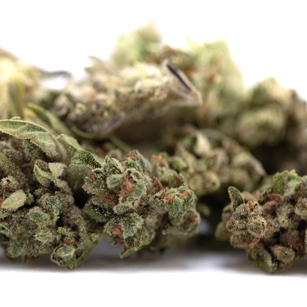 Fog Dog’s THCa flower smalls with green leaves and purple trichomes