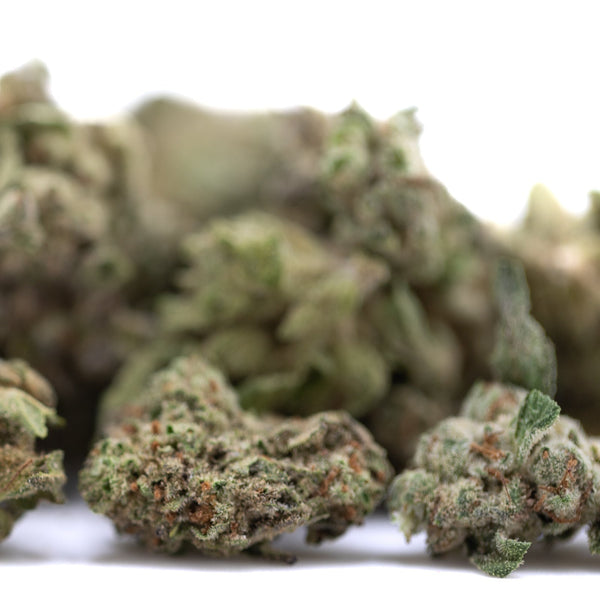 Premium Froot by the Foot THCa hemp flower smalls with candy flavor buds