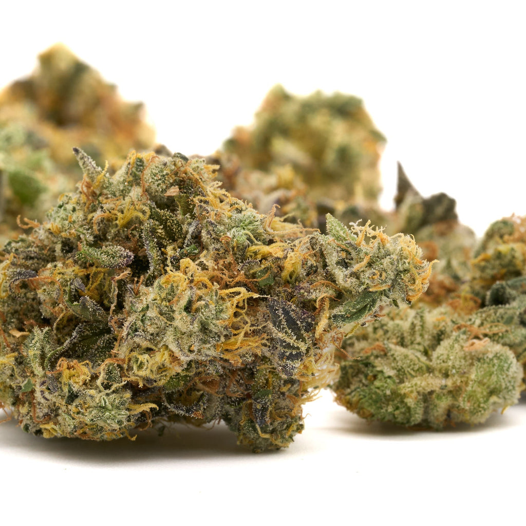 Dense cannabis buds with trichomes in GMO Indoor THCa Flower product showcase