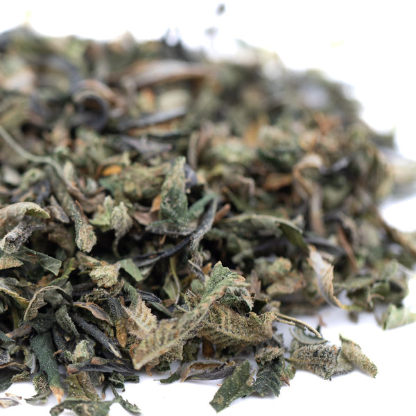 Huckleberry Diesel THCa trim with green dried mint leaves pack