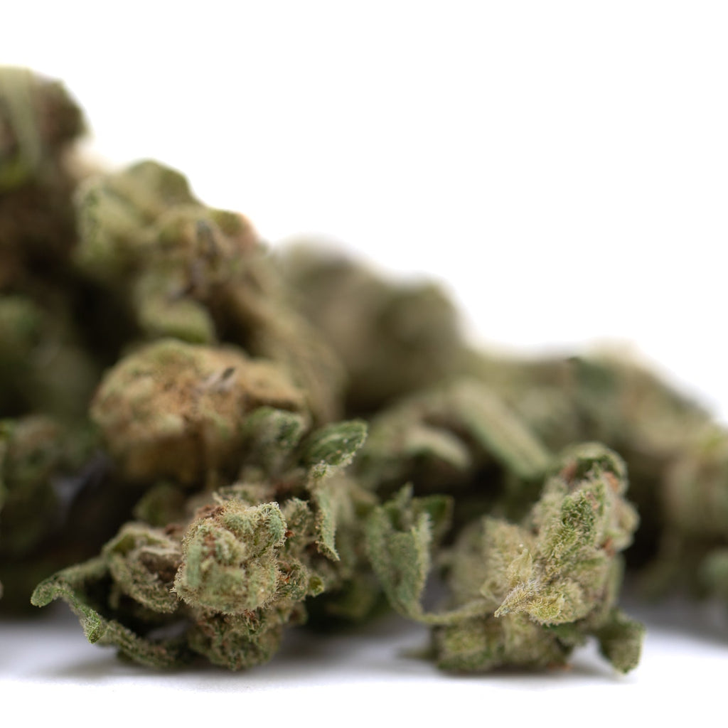 Green Jelly Donut THCa smalls flower bud with white trichomes