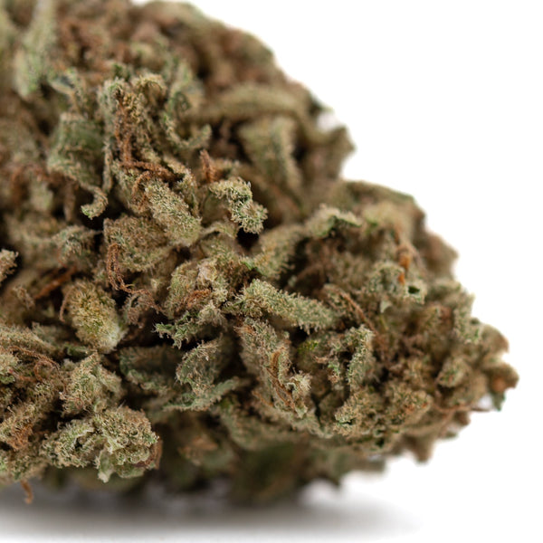 Premium Jelly Mints THCa Flower: Dense Green Brown Hemp Bud with Trichomes