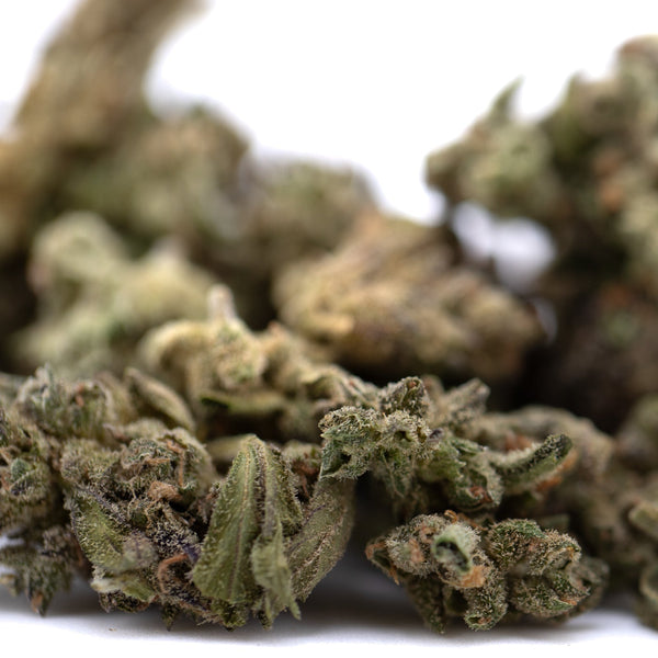 Mendo Breath THCa flower smalls: green purple bud with trichomes