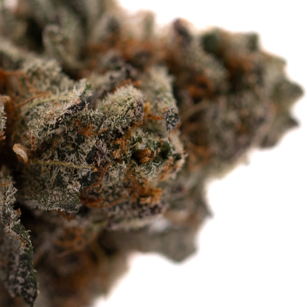 Close-up of Poppin Bottlez indoor THCA flower bud with white trichomes and orange pistils