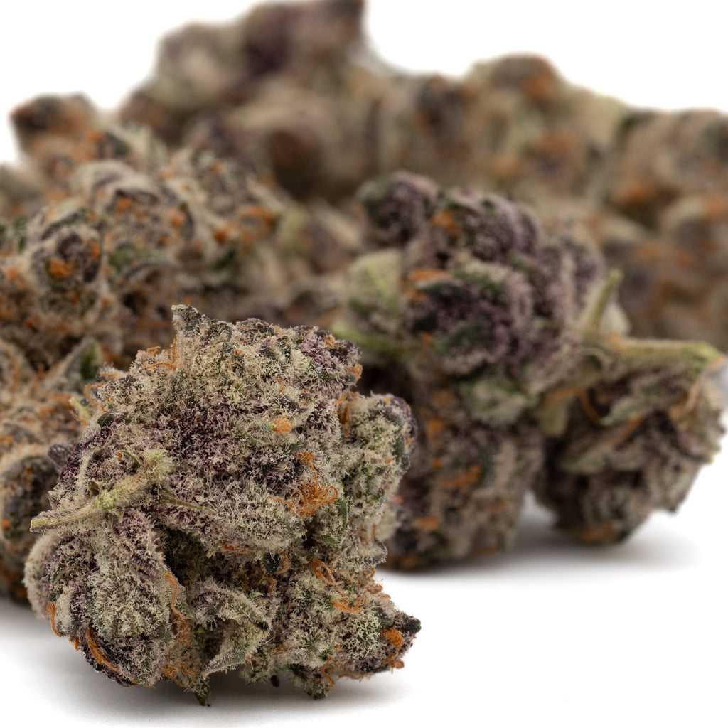 Close-up of Raspberry Runtz Indoor THCa Flower showcasing black frost hemp flower with purple, green, and orange buds