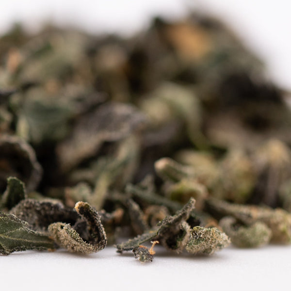 Loose green tea leaves from Sour Runtz THCA Trim Wholesale Hemp Flower 1LB