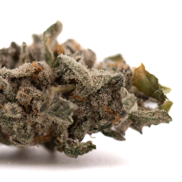Close-up of Street Tarts Indoor THCa Flower hemp bud covered in trichomes and orange hairs